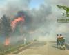 Aujourd’hui cinq incendies en Sardaigne, alarme à Monastir | Nouvelles