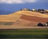 Toscane, un appel d’offres de 2 millions pour la formation des entrepreneurs agricoles