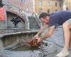 Prato parmi les pires villes d’Italie pour les valeurs de qualité de vie environnementale La mer Tyrrhénienne