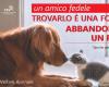 Alessandria contre l’abandon d’animaux : “Publiez avec votre chiot sur les réseaux sociaux”