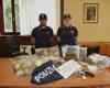 Kilos et kilos de drogue vendus dans toute la Lombardie, la police de Busto Arsizio démantèle deux groupes de trafiquants de drogue