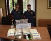 Ils vendaient en gros de la cocaïne et du haschich dans la province de Varese : organisation criminelle démantelée par la Police d’État