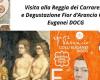 Fleur d’oranger Colli Euganei DOCG et Padova Urbs Picta, un événement spécial à la Loggia dei Carraresi