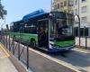 À partir du 1er juillet, nouvelle numérotation des lignes de bus dans les zones de Gallarate, Busto, Valle Olona, ​​​​Somma, Tradate et Saronno