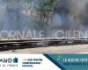 Flammes à Ascea Marina : les pompiers interviennent pour éviter le pire