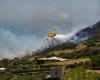 Incendies dramatiques en Sicile : au cours des six premiers mois de 2024 déjà 1288 incendies (509 en 2023)
