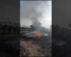 SOS incendies, “plus de trois incendies par jour dans la campagne d’Adelfia”