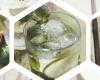 A Luvinate un samedi dédié aux meilleurs Gin Tonics de la province de Varèse