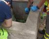 Enfant mort dans le puits de Palazzolo Acreide près de Syracuse, résultats de l’autopsie : cause du décès