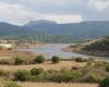 L’urgence de la sécheresse en Sardaigne s’aggrave : les réservoirs sont pleins à 57,4 %, soit cinq points de moins en l’espace d’un mois