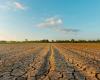 Crise de l’eau en Sicile, Schifani “Accord pour irriguer les zones les plus difficiles de la région d’Agrigente” – BlogSicilia